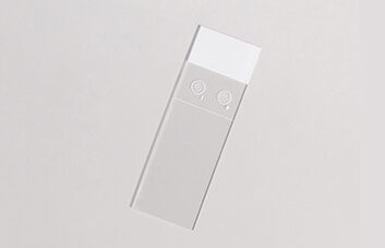 グラム染色コントロール・スライド