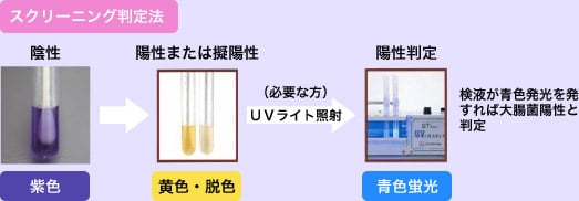 STチューブ|大腸菌群・大腸菌用 スクリーニング判定法