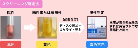 STチューブ|黄色ブドウ球菌用 スクリーニング判定法